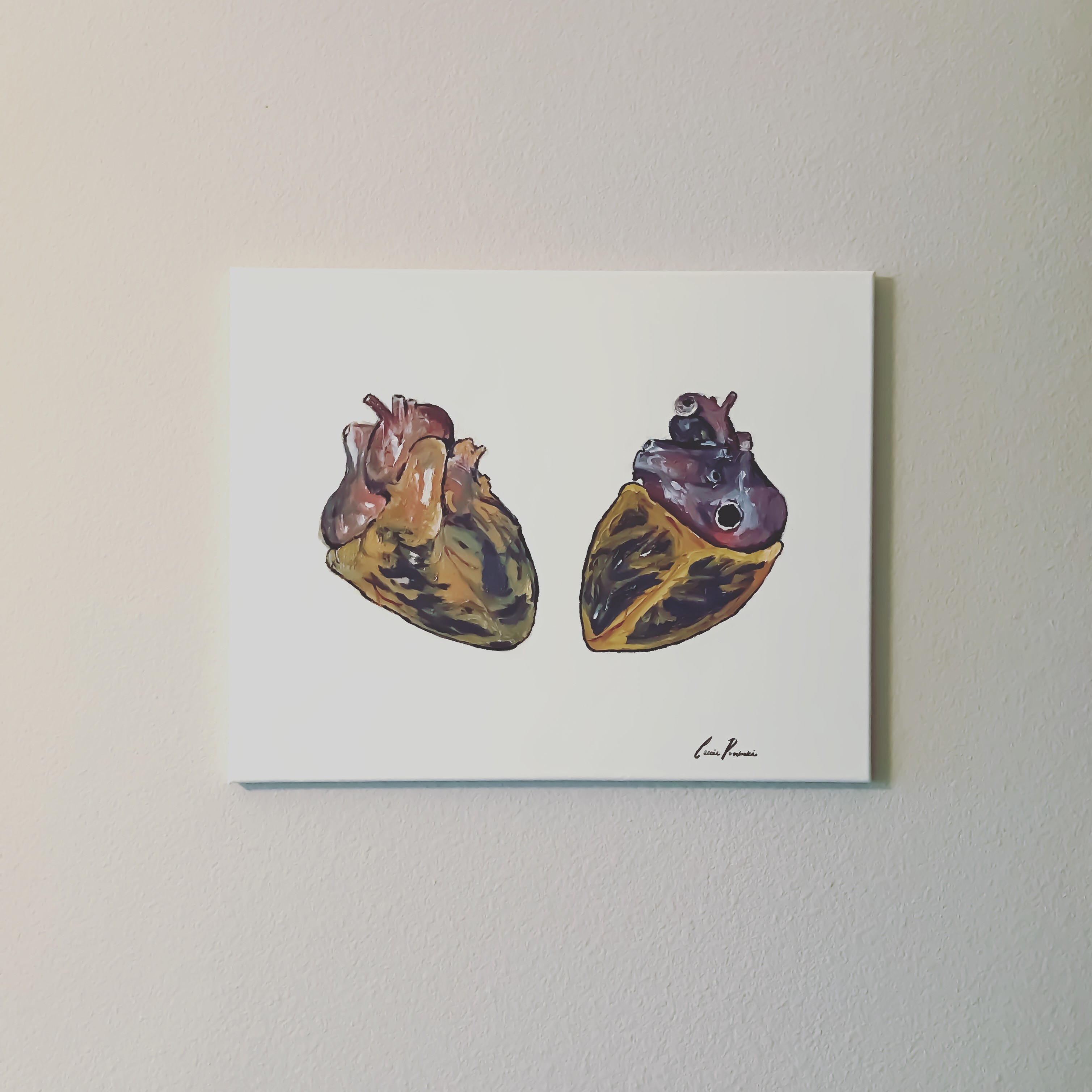 porbeski canvas two