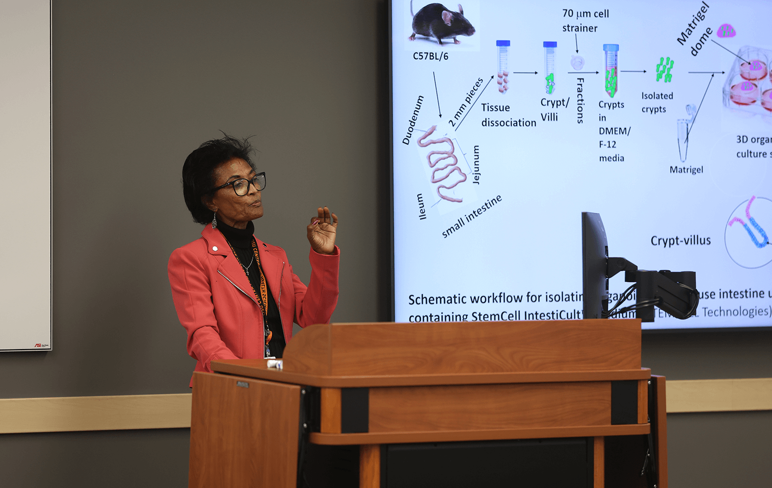 research-week-24-presentation