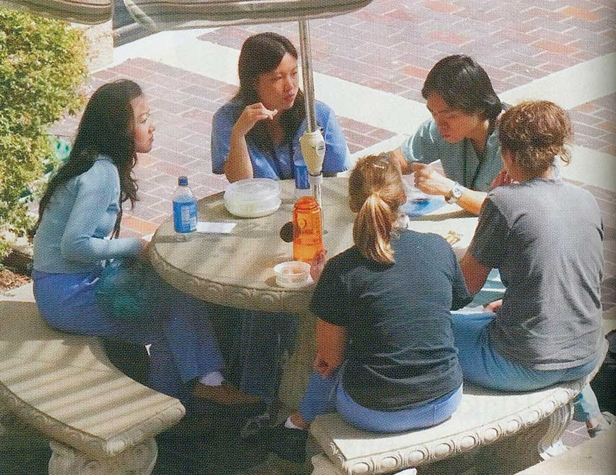 Mai Pham, Lina Ea, Best Chen, Jessica Fisher and Sara Powers enjoy a break from the classroom to have lunch outdoors.