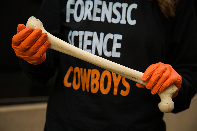 forensics-sciences-bone-v1