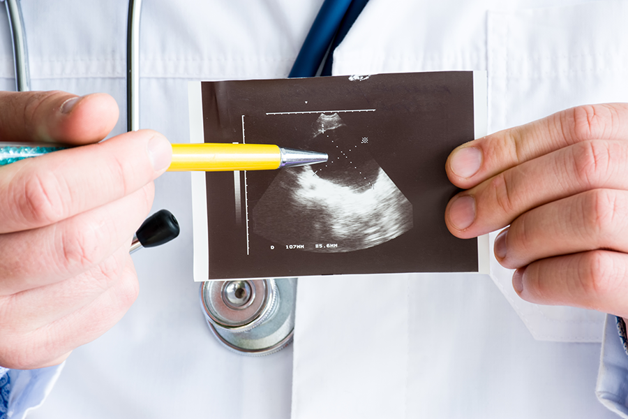 gastroenterology-sm-v1
