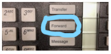 phone forward example phone forward example